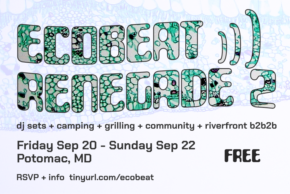 Ecobeat 2 flyer